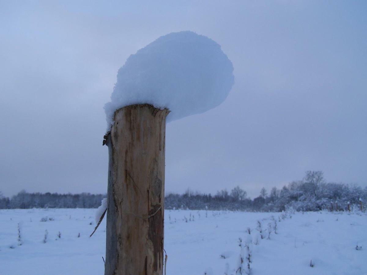 Mednieki Kalvene Krusati Exterior foto